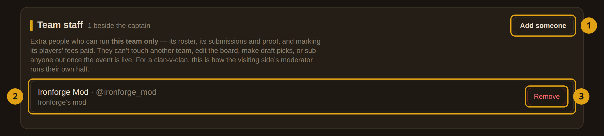 The Team staff panel with one seat granted and the add-someone search open